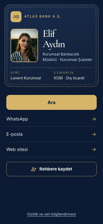Kasa tasarımı: Lacivert ve altın, banknot deseni, çerçeveli portre. Bankacılık için.